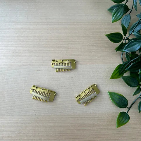 Chunni Clips
